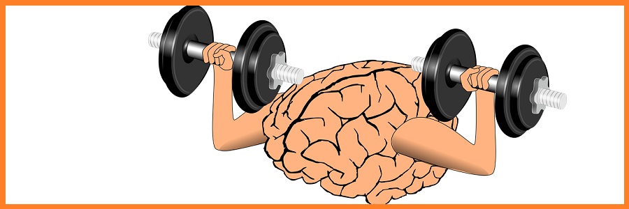 Mózg 2000 – 2018