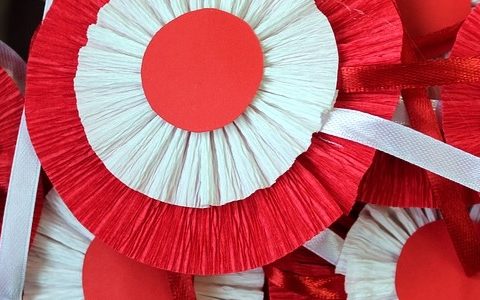 Wyniki konkursu „Wielcy Polacy dla niepodległości“