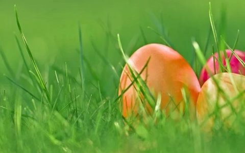 Wielkanocne spotkanie cudzoziemek