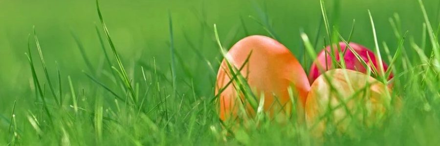 Wielkanocne spotkanie cudzoziemek