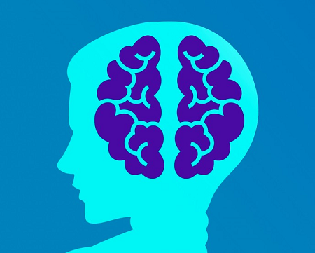 Graficzne przedstawienie profilu głowy chłopca z zaznaczeniem mózgu.