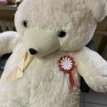 Duży pluszowy miś z kotylionem w barwach narodowych.