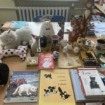 Zdjęcie książek i pluszkaów.