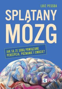 Czubek głowy, a nad czołem zamiast włosów widać zwoje mózgowe.